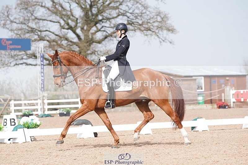 250404-112444-05438 - 009-Sarah.Stewart-Djoe.Dimaggio