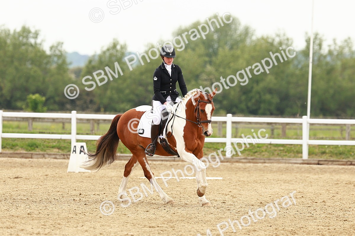 SBM_001218 - Class 6 - Novice 4