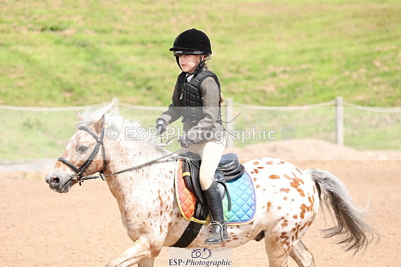 240714A-145604-02529 - Cls 14-15-16  CR & 60cm