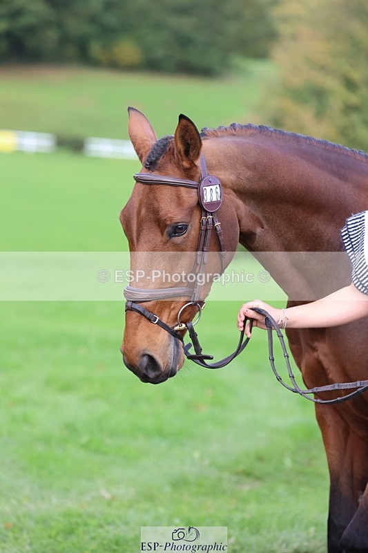 251026A-102657-22999 - E-386-Zara.Head