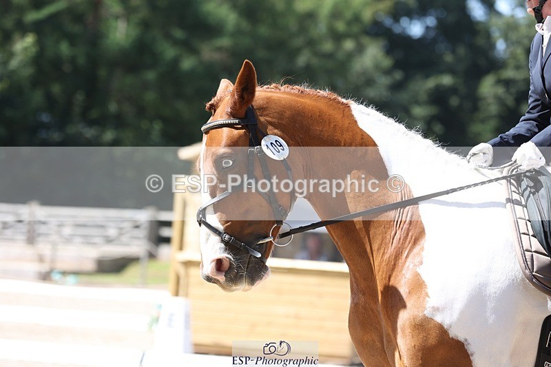 230811-122610-01060 - Cls 1 Prelim Bronze 11.10 to 12.35 break