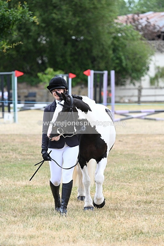 WJ7_1422 - Class 4 Prettiest Mare up to 14.2hh in hand