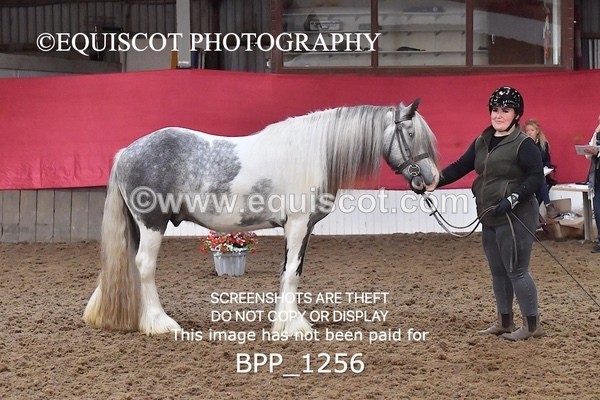 BPP_1256 - MORNING 9AM - 12PM