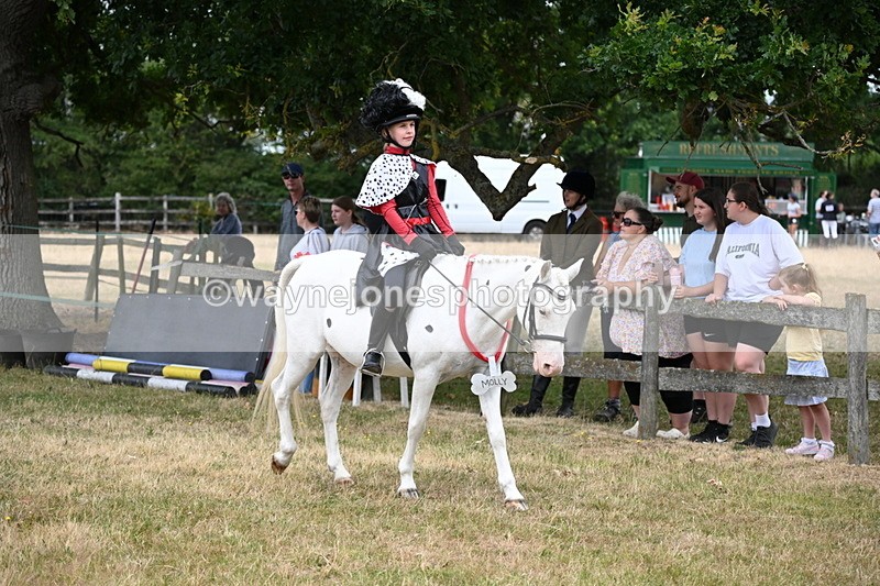 WJ6_4611 - Class 11 Fancy Dress