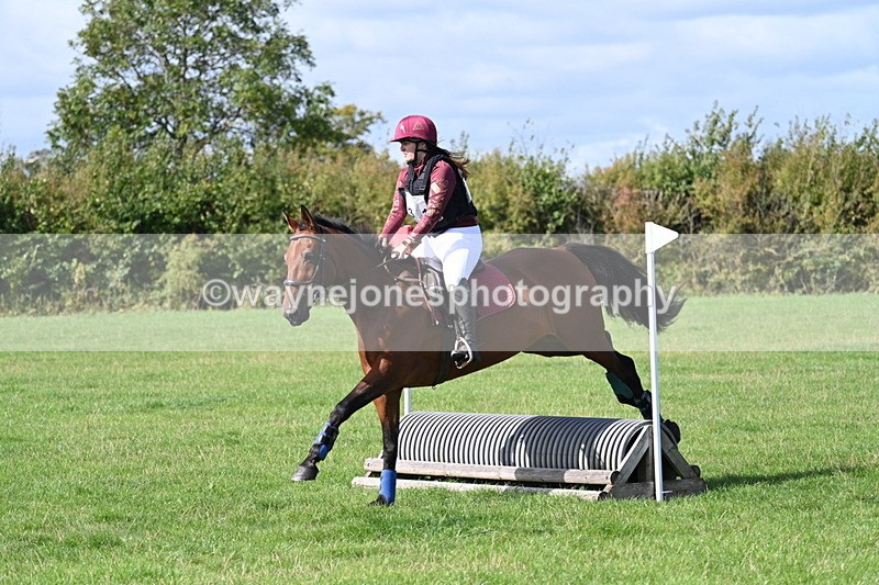 WJ7_9691 - Time 12:12 to 12:40