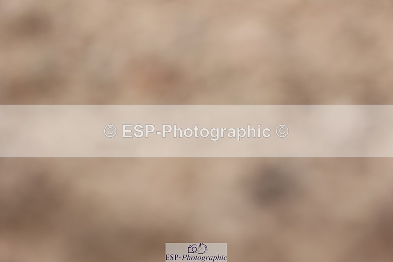 250620-094307-00258 - BD Cls 6 - Freestyle Novice