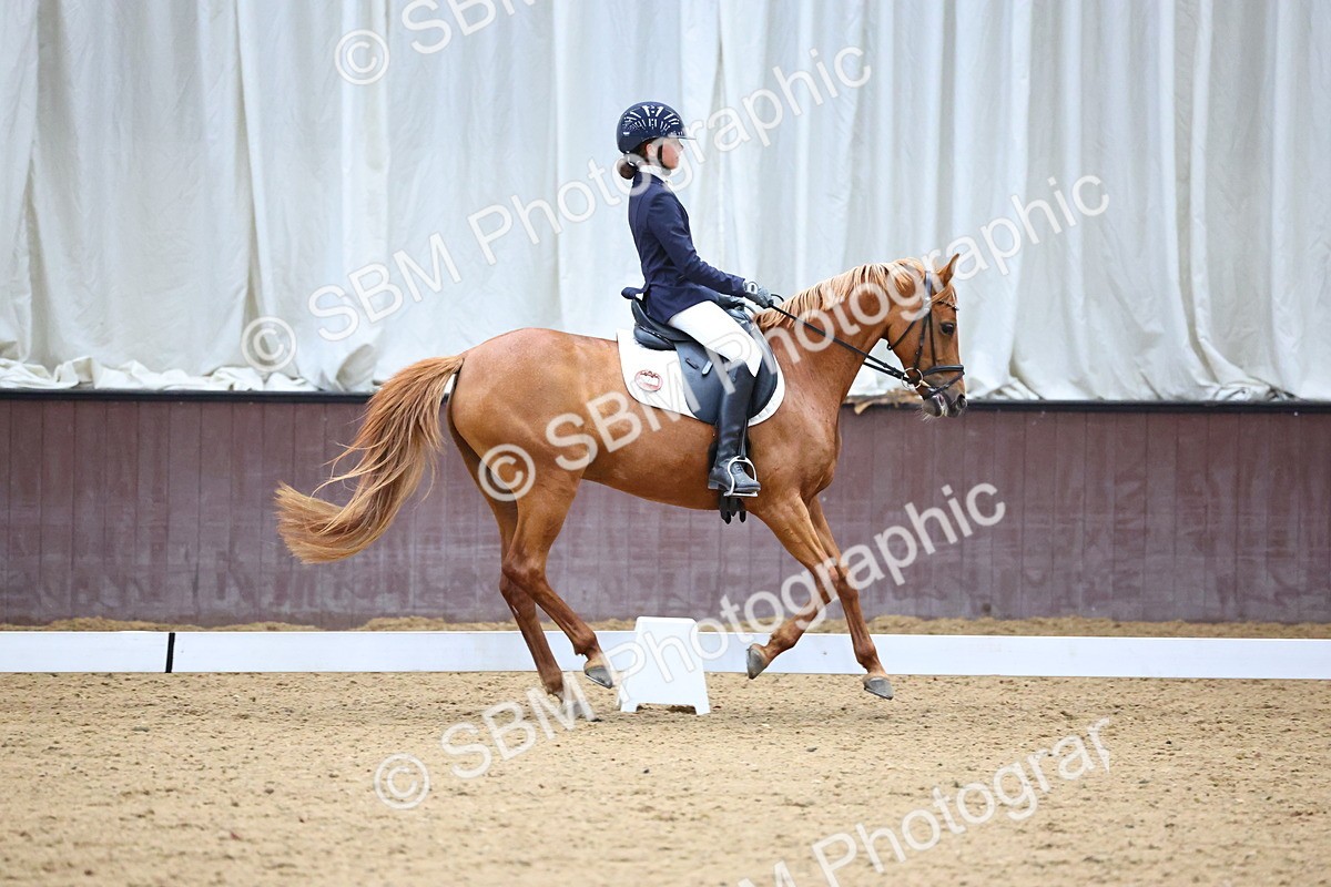 SBM_003981 - Novice 2