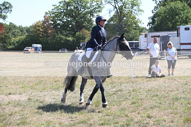 WJ6_8900 - Class 38 Ridden Riding Horse/Pony