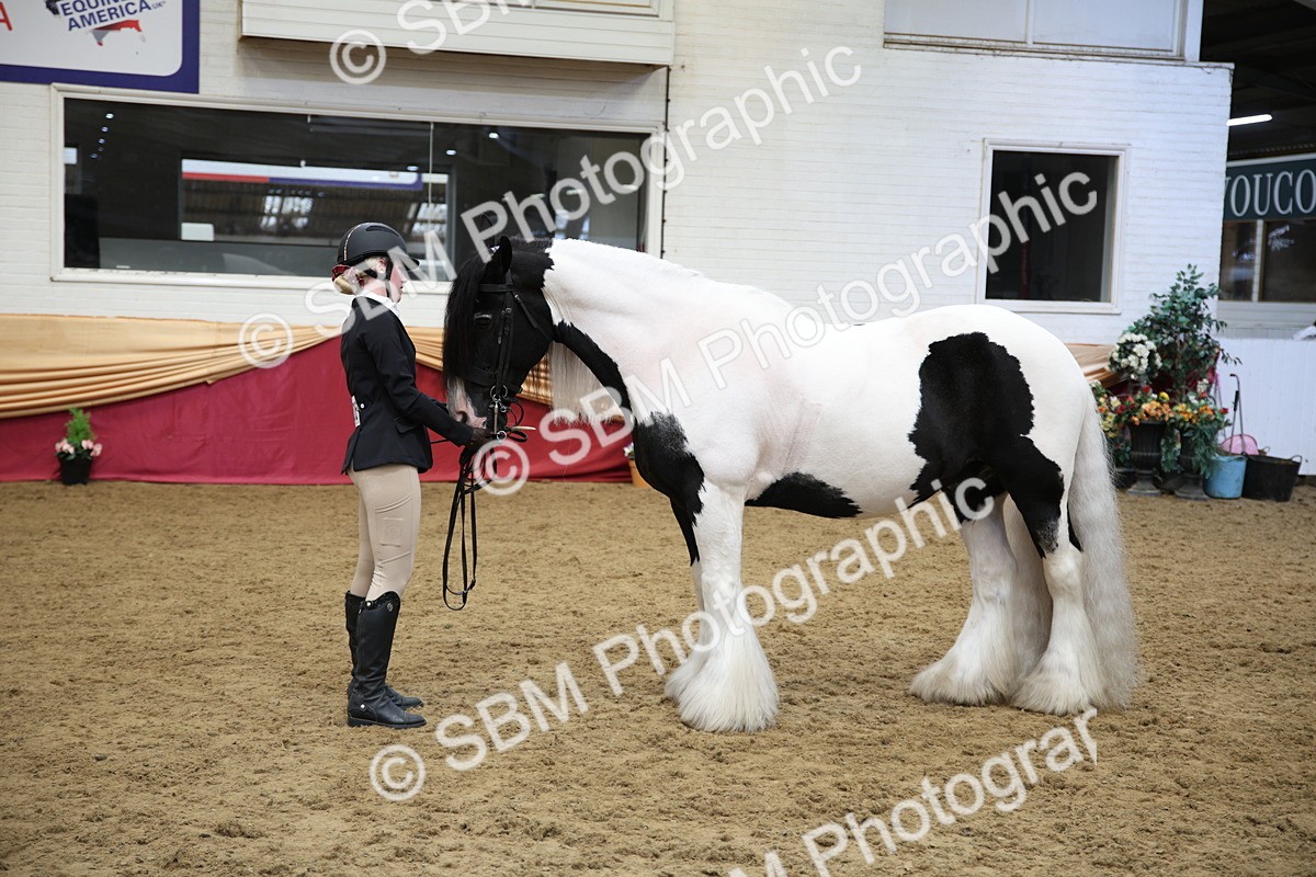 SBM_24717 - Class 906 - Supreme Final - Ridden Pre Vet