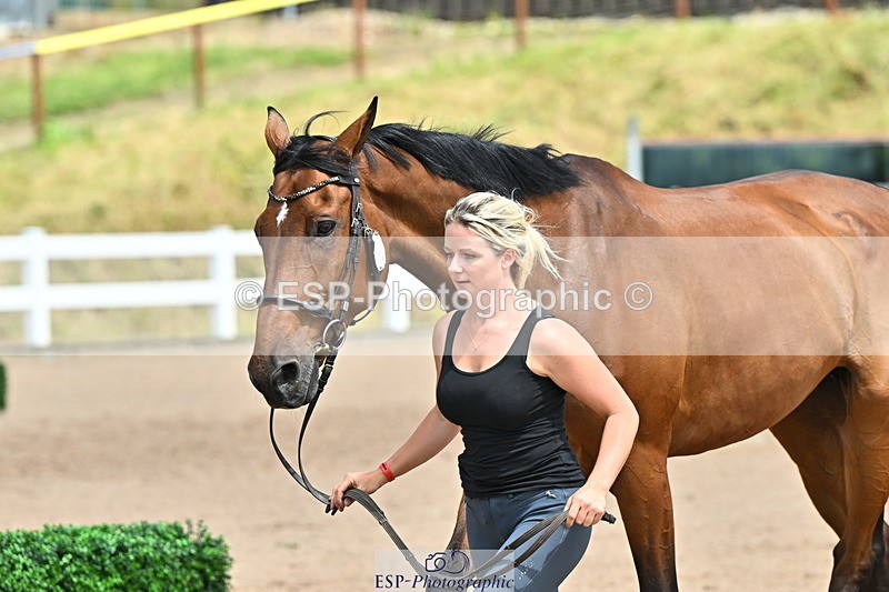 240718A-105320-01863 - Trot Up 1pm to 2pm