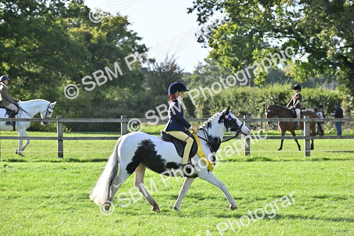 SBM_51297 - S22 - First Ridden show and show Hunter Pony
