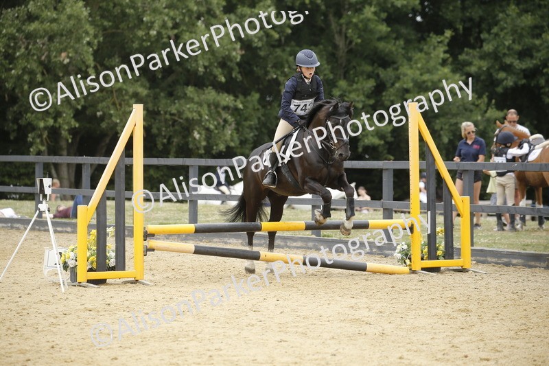 20250622-6235 - 60cm