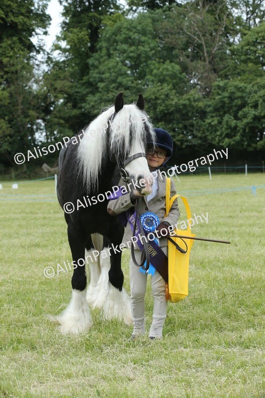 20260614-4334 - Class 18 - Best Junior Handler