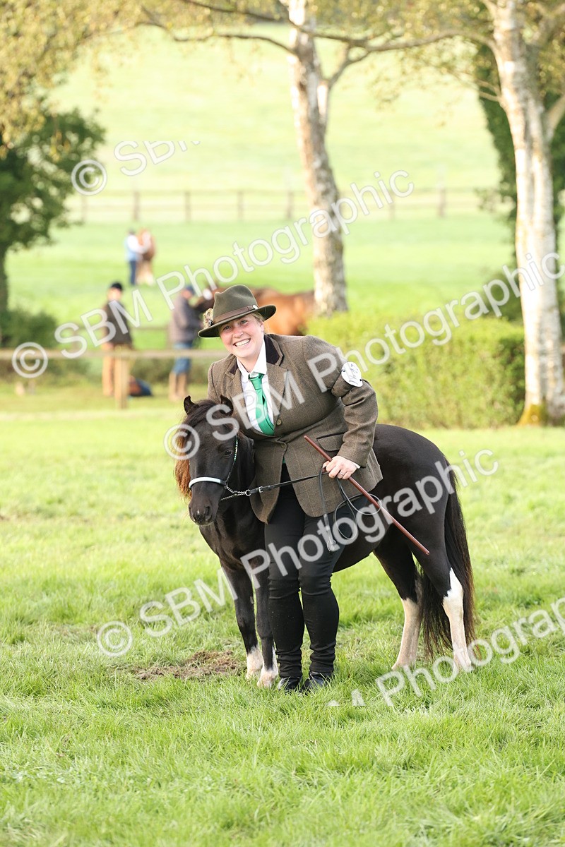 SBM_54417 - S51 - Foreign Breeds In Hand