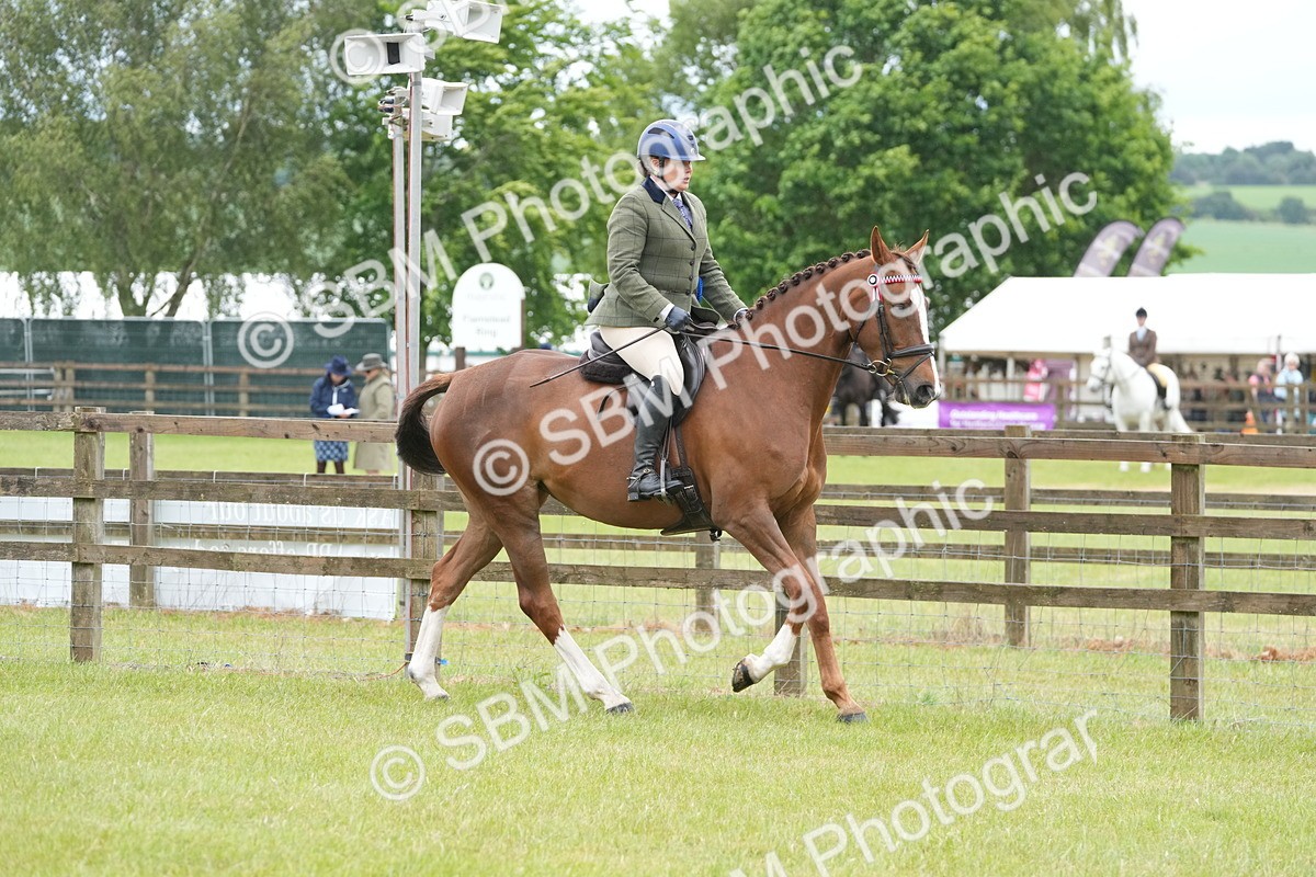 SBM_12832 - Class 97-98 - LIHS BSHA Rising Star Working Show Horse Hunter
