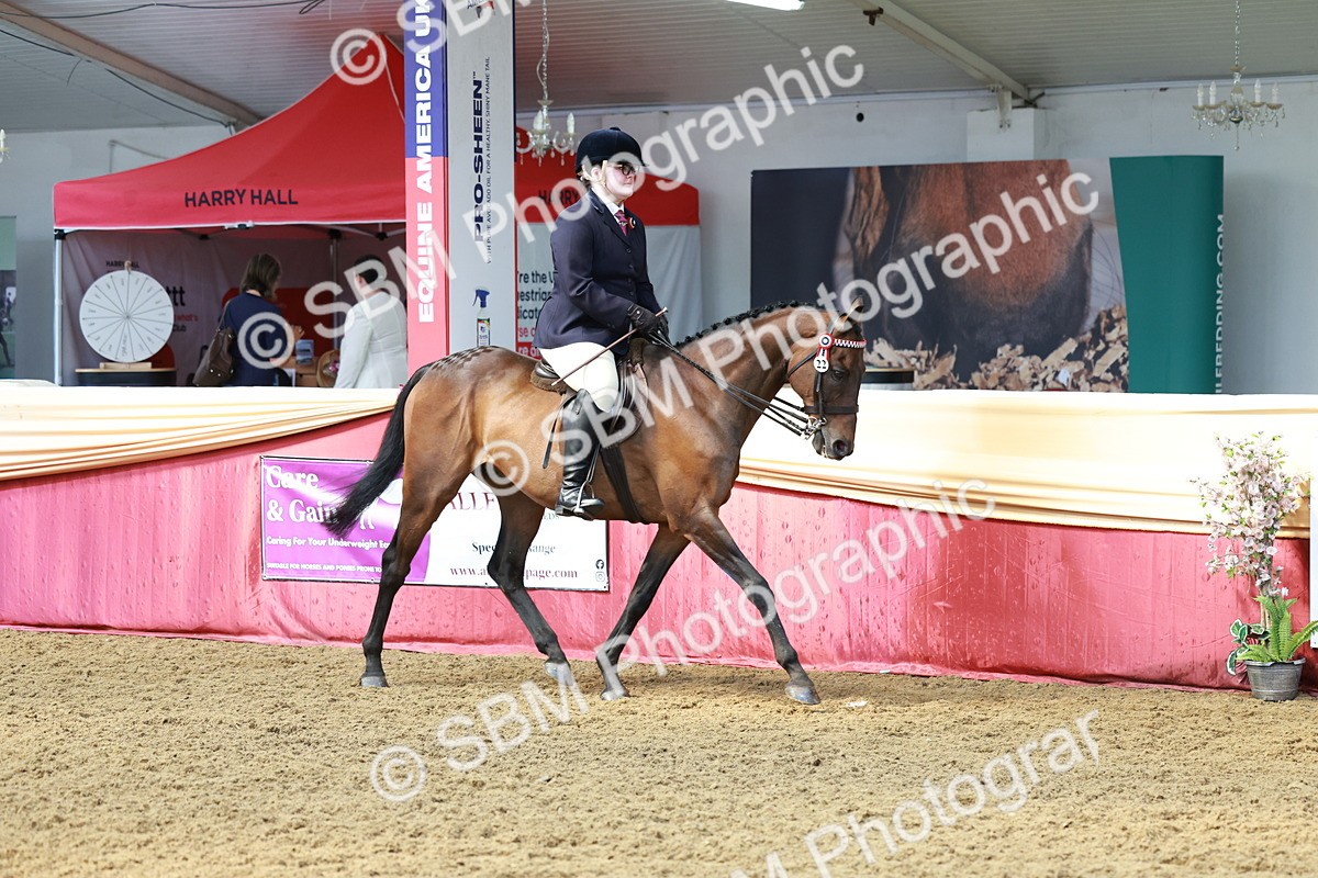 SBM_14885 - Class 108 - Ridden Retired Racehorse
