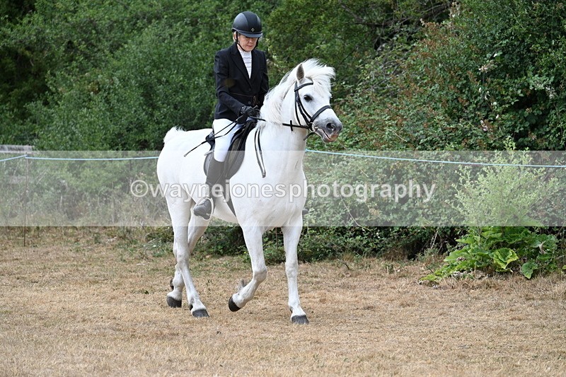 WJ7_0391 - Class 6 Ridden Mountain and Moorland