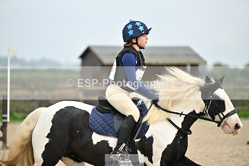 241110-120439-00590 - 50-55cm Arena Eventing