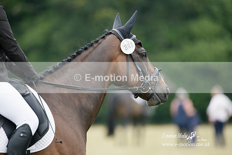 BVRC 030721 220 - Bourne Valley Riding Club Dressage 03/07/21