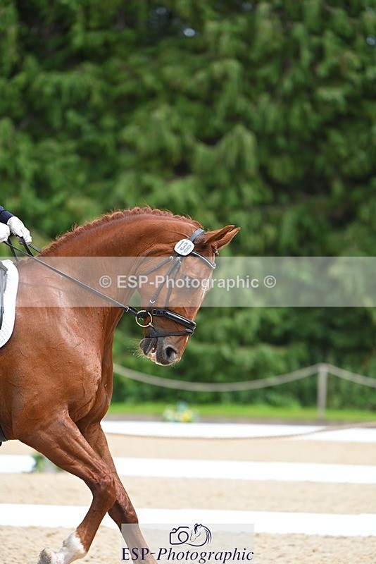 230813-140040-07659 - Cls 13 Medium Bronze 13.15 to End