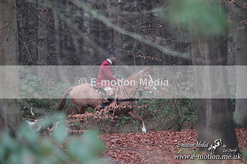 HUPY 261224 306 - Pytchley with Woodland Hunt Boxing Day Meet 26th December 2024