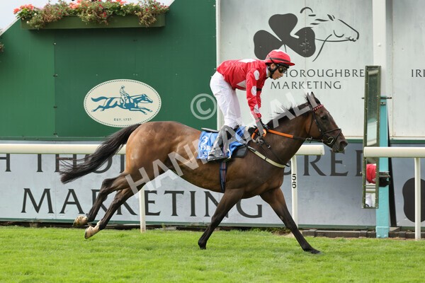 yr04092022p2-42 - 12.50pm. 148cm Open Pony Race