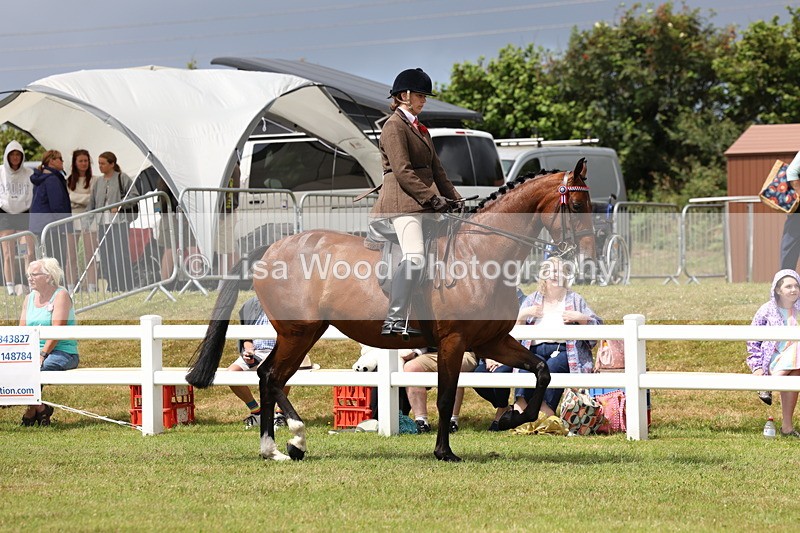 3E7A0845 - Class 8: Open Riding Horse/Hack