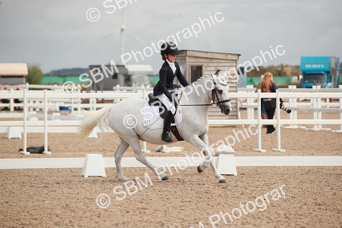 SBM_03983 - Class 31 - Prelim 1