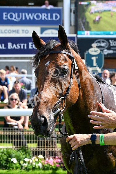 280625-Race 3-Squealer-0268 - Race 3 3.00pm Al Basti Equiworld Dubai Dash Handicap