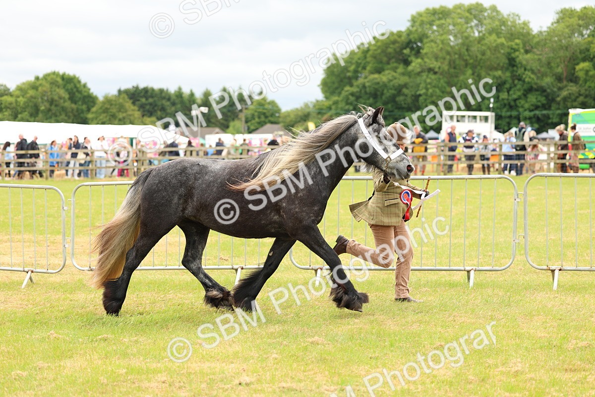 SBM_03566 - Class 58-67 - M&M Non Welsh Pony In hand
