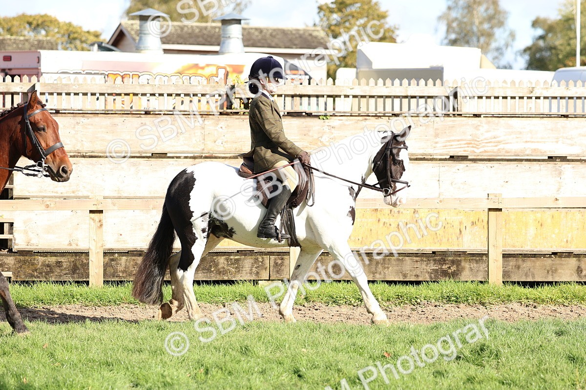 SBM_52326 - S13 - Pony Club Pony