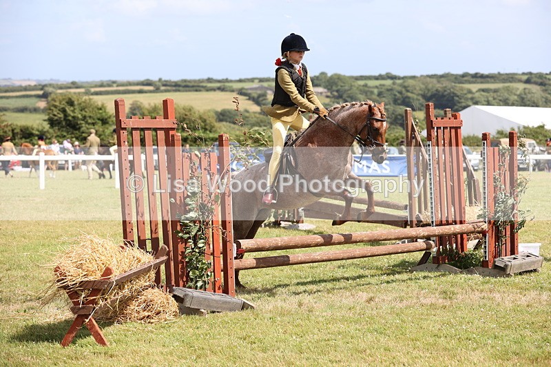 JPP_2137 - Class 19: Working Hunter 60cm