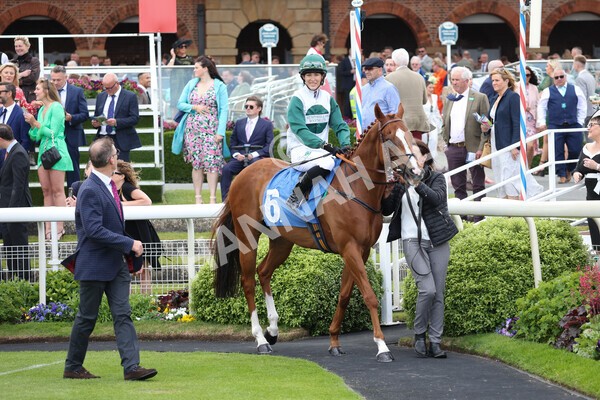 yr11062022r1-108 - Race 1 12.45pm Macmillan Ride of Their Lives, supported by Sky Bet