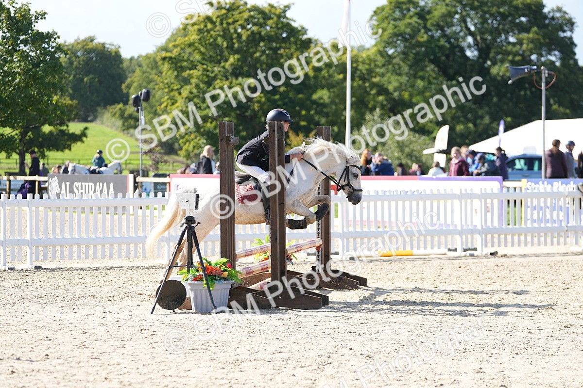 SBM_38355 - J6 - Junior Pony 55cm Championship