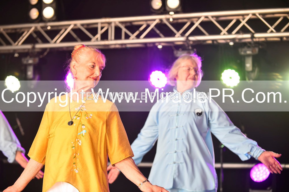 SH4_1392 - Tai Chi with Lisa Kay.