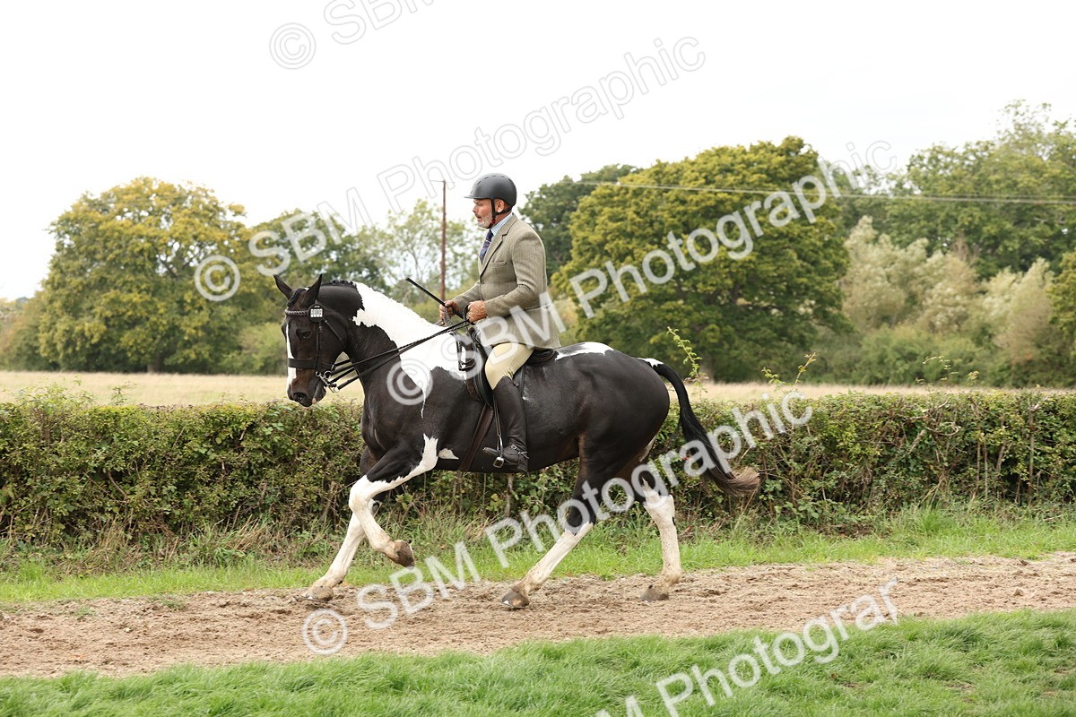 SBM_67267 - S67 - Piebald & Skewbald Horse Ridden
