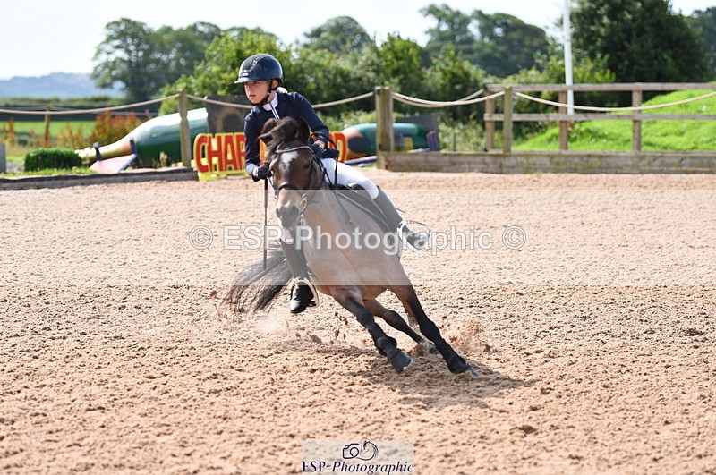 230716A-100348-01947 - Cls 35 Springboard 128cm & 138cm