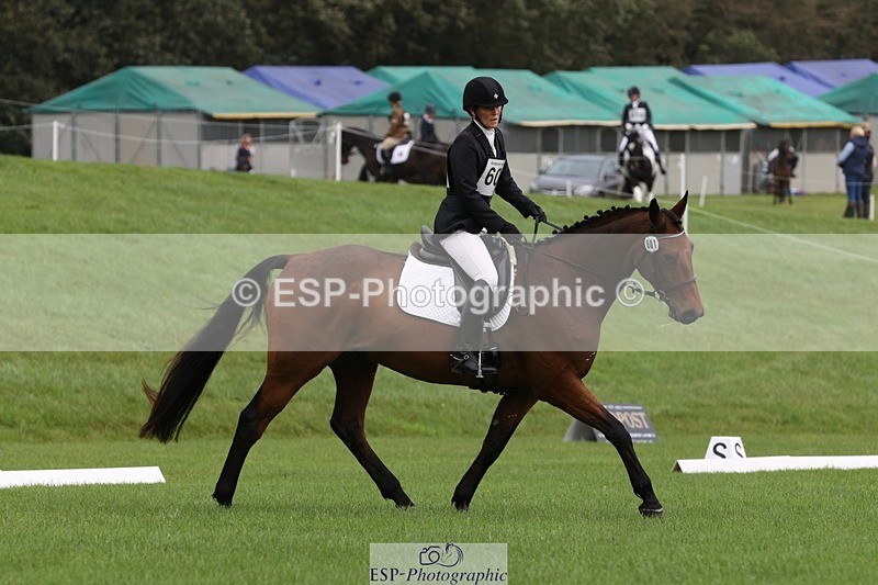 231019-101328-02245 - 601-ZIA'S.ZAVITAS-Helen.Buckland-DR