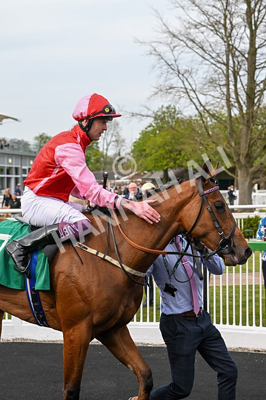 120425-Race 1-Polly Darling-0818 - Race 1