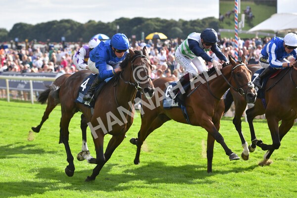 yr19082022r6-37 - Race 6 4.45 pm British Stallion Studs EBF Convivial Maiden Stakes