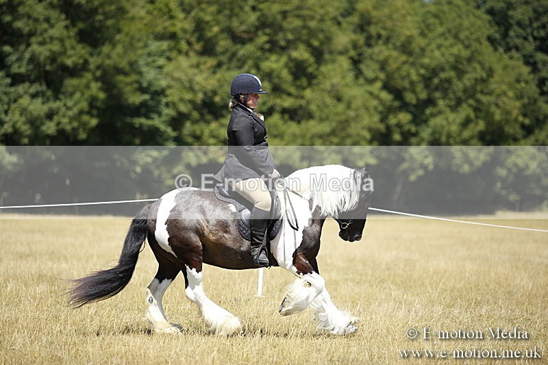 _C7A9864 - BVRC Show 2018 Ring 1