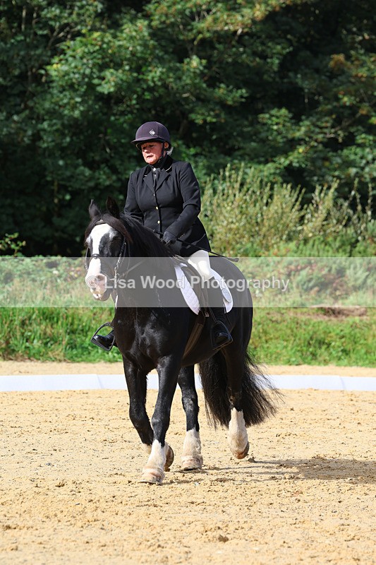 3E7A2349 - Class 1: Intro 4 2024 section A