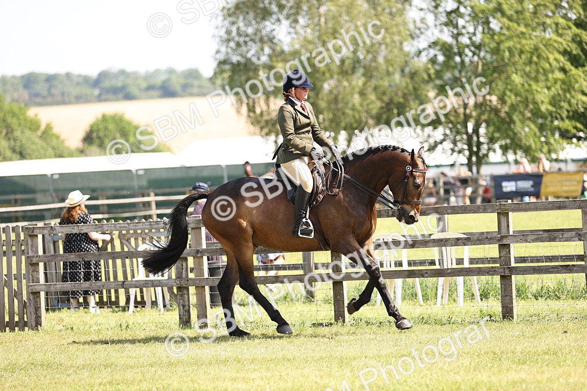 SBM_13071 - Class 75-76 LIHS BSHA Rising Star Hack Riding Horse