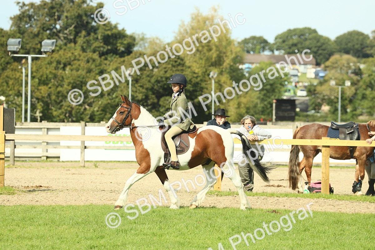 SBM_68921 - S58 - Mini Show Cob Ridden