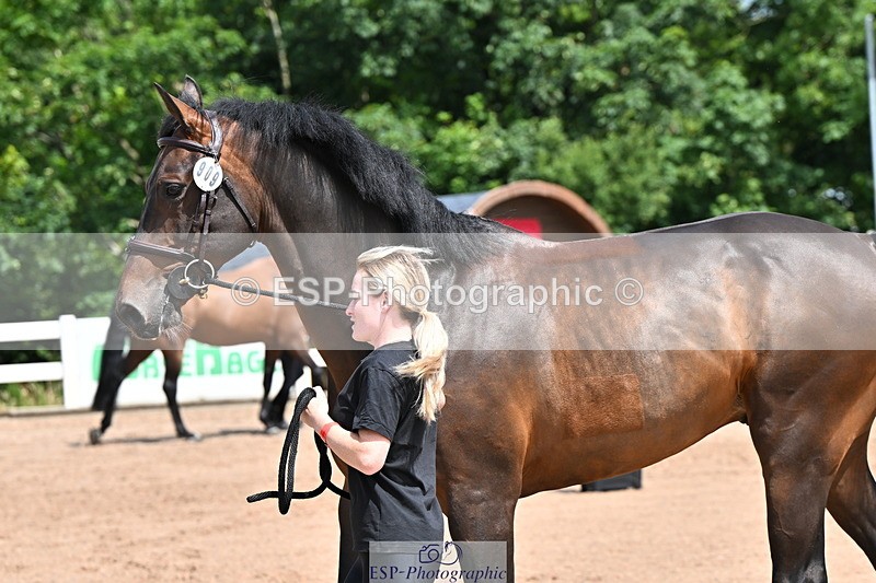 240718A-105249-01209 - Trot Up 12pm to 1pm