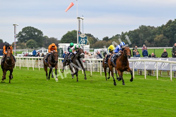 101025-Race 3-Mukhtalif-0203 - Race 3 William Hill Each Way Extra Handicap at York
