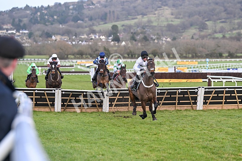 250125-Race 5-Constitution Hill-4707 - Race 5