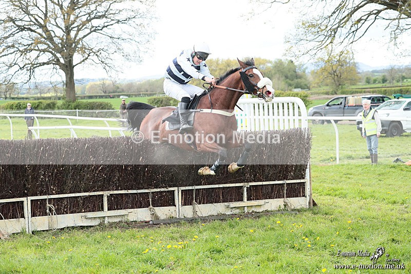 PtP 180426 555 - Worcestershire Hunt PtP Chaddesley Corbett 18/04/26