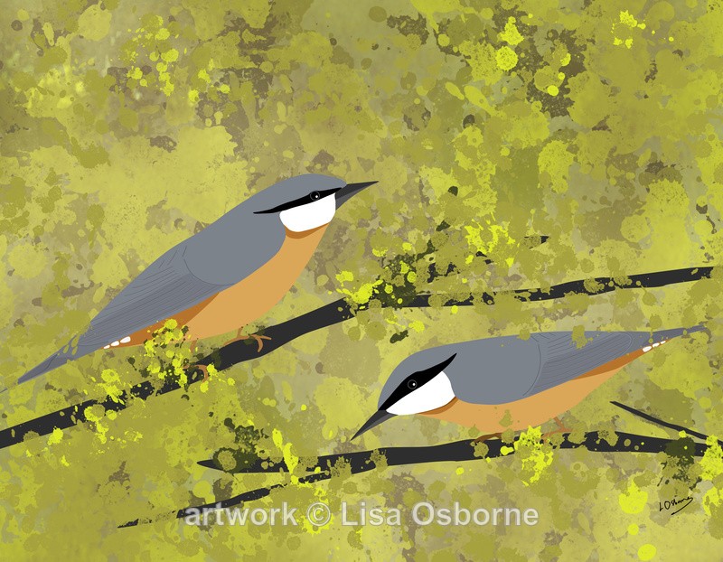 Nuthatches - DIGITAL ARTWORK