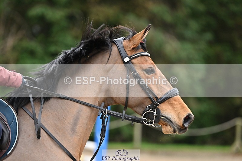 250201A-120319-00577 - Cls 02 Local Horse 100cm